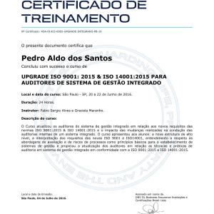 Certificado Auditoria 9001/14001 DNV